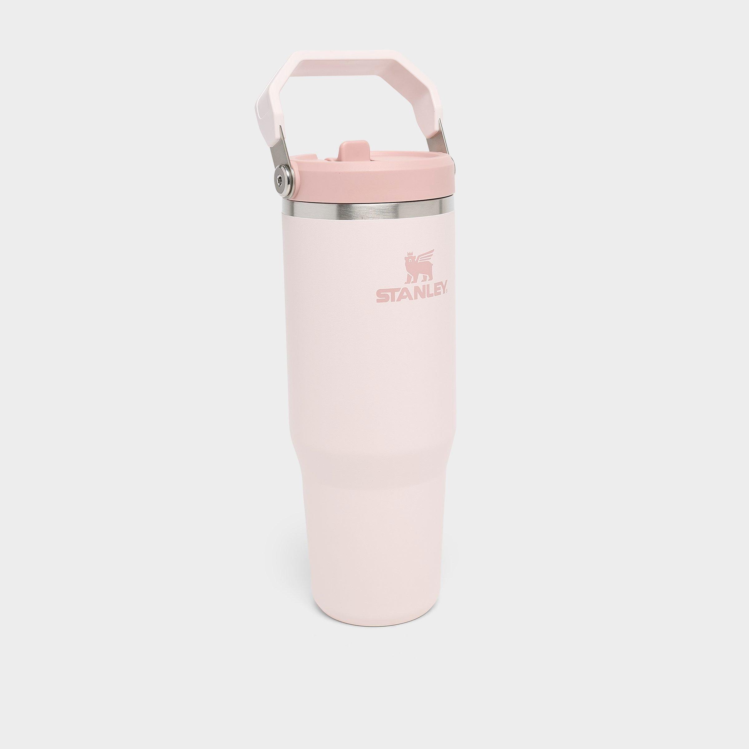Stanley IceFlow Flip Straw Tumbler (30 oz.) | JD Sports
