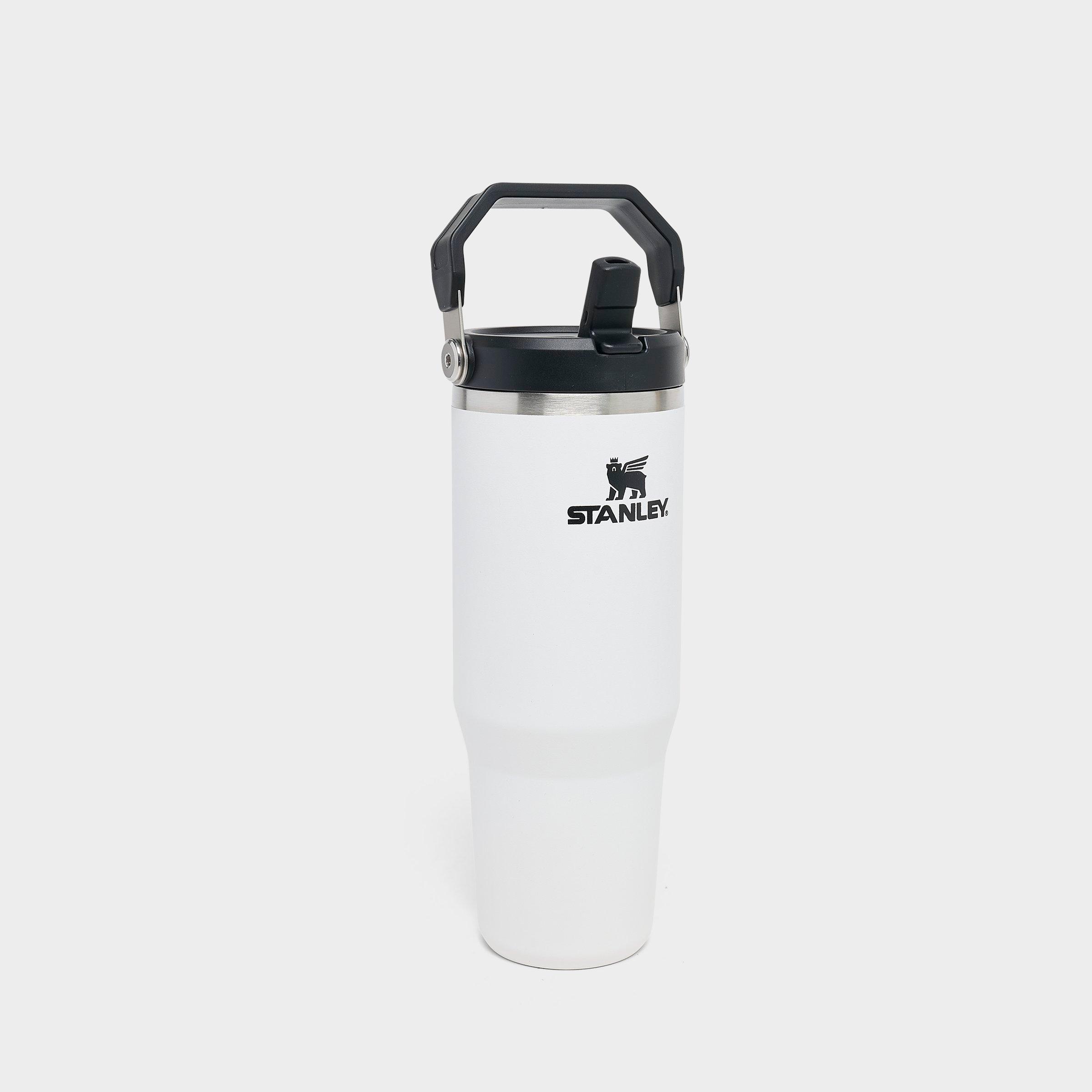 Stanley IceFlow Flip Straw Tumbler (30 oz.) | JD Sports