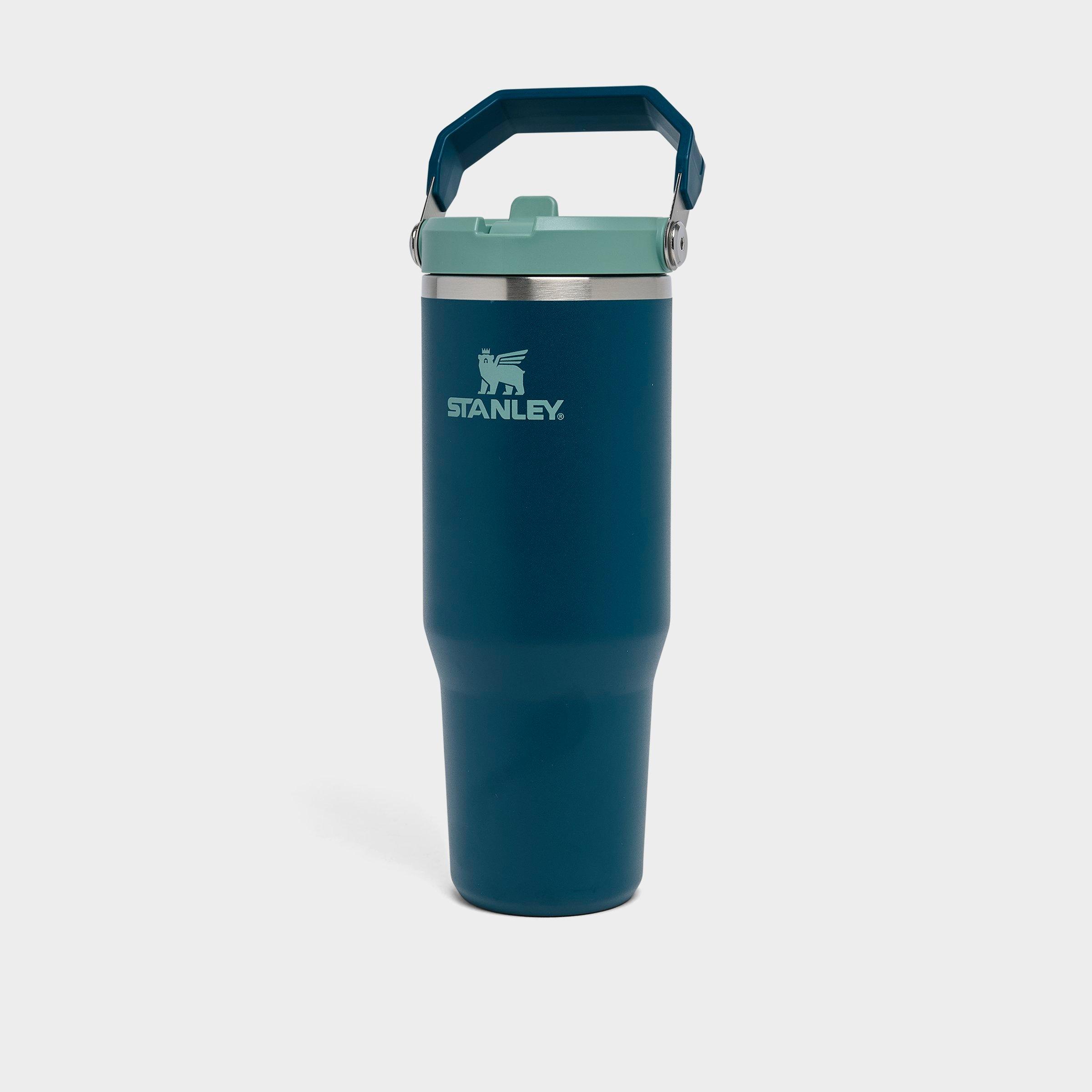 Stanley IceFlow Flip Straw Tumbler (30 oz.)