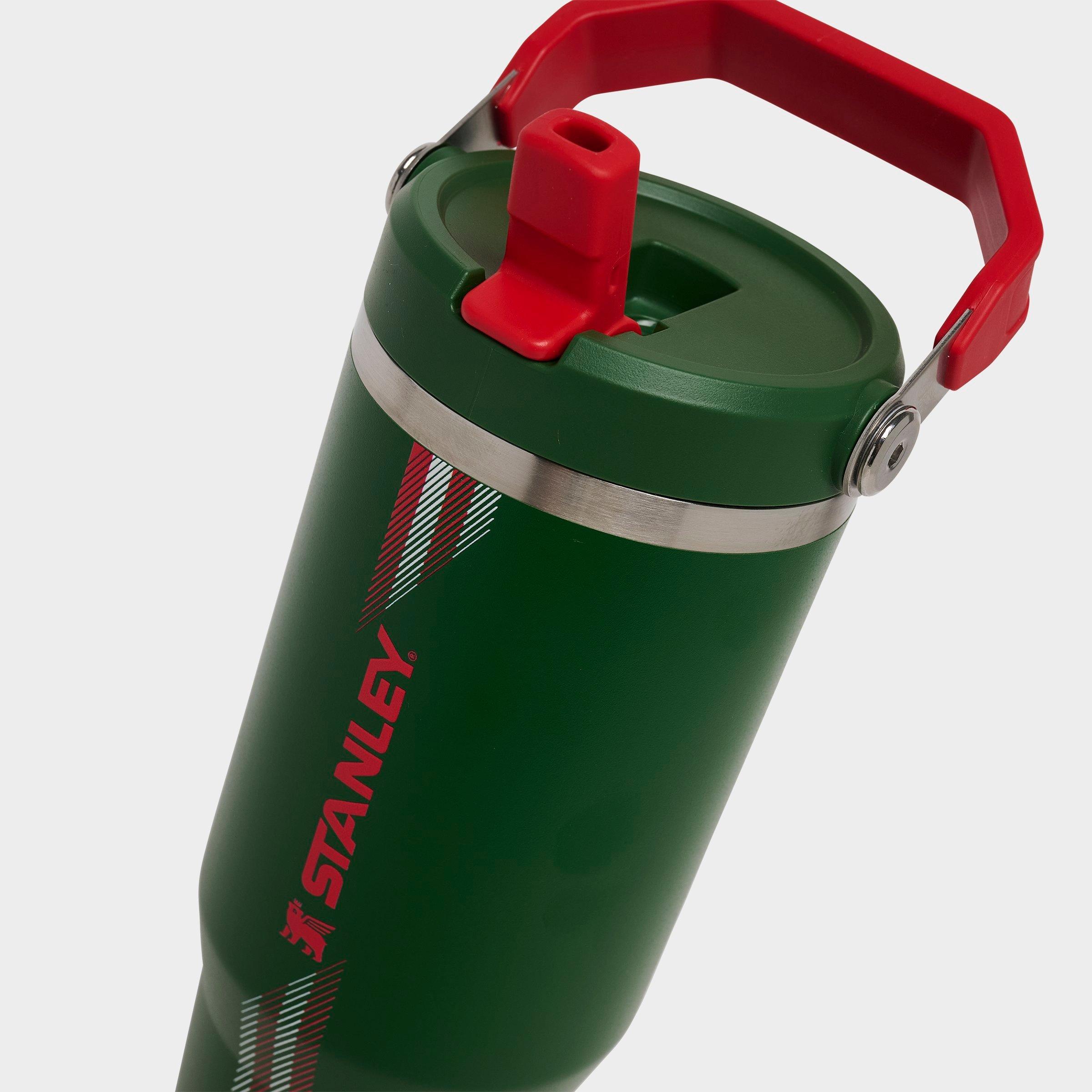 Stanley IceFlow Flip Straw Tumbler (30 oz