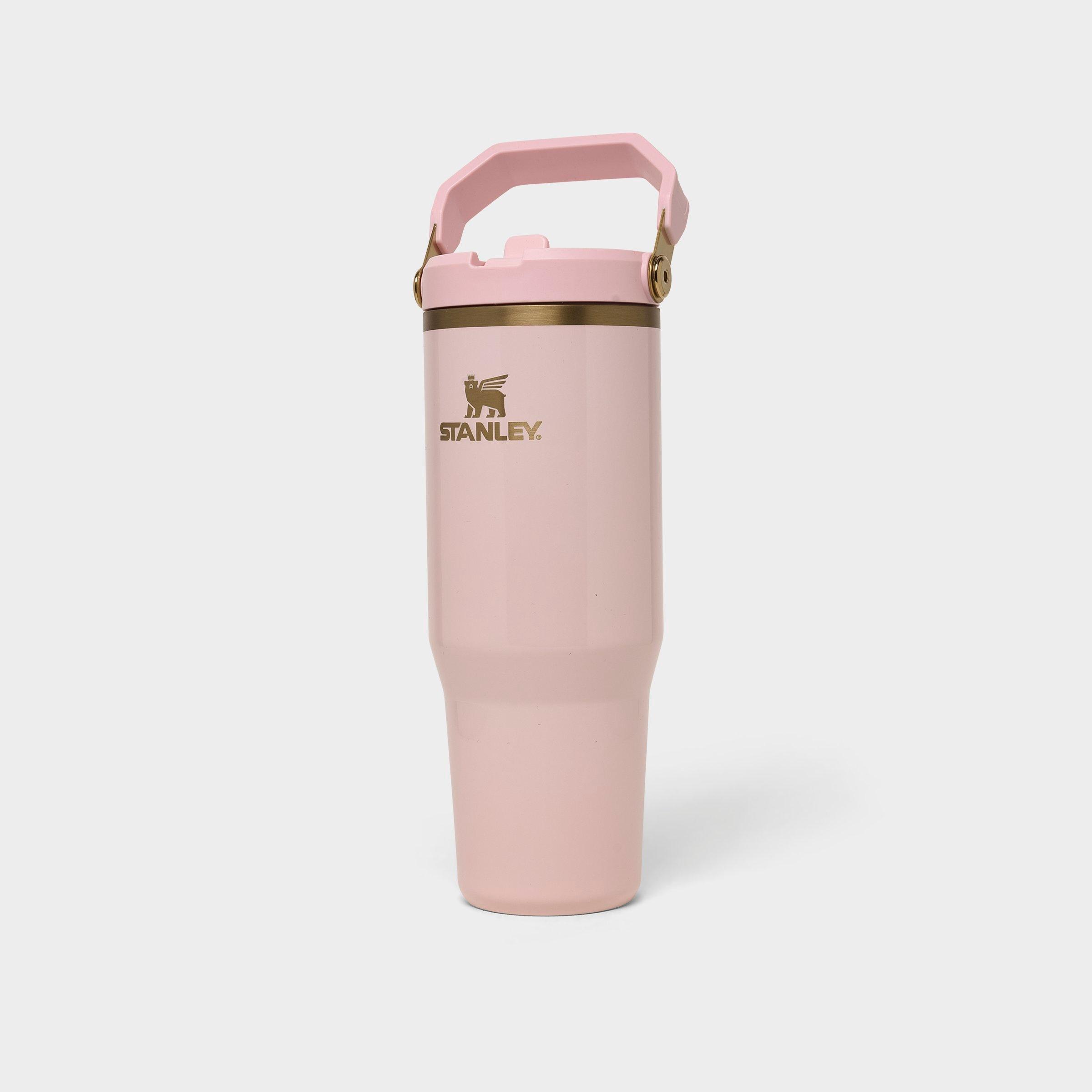 Stanley IceFlow Flip Straw Tumbler (30 oz.) | JD Sports