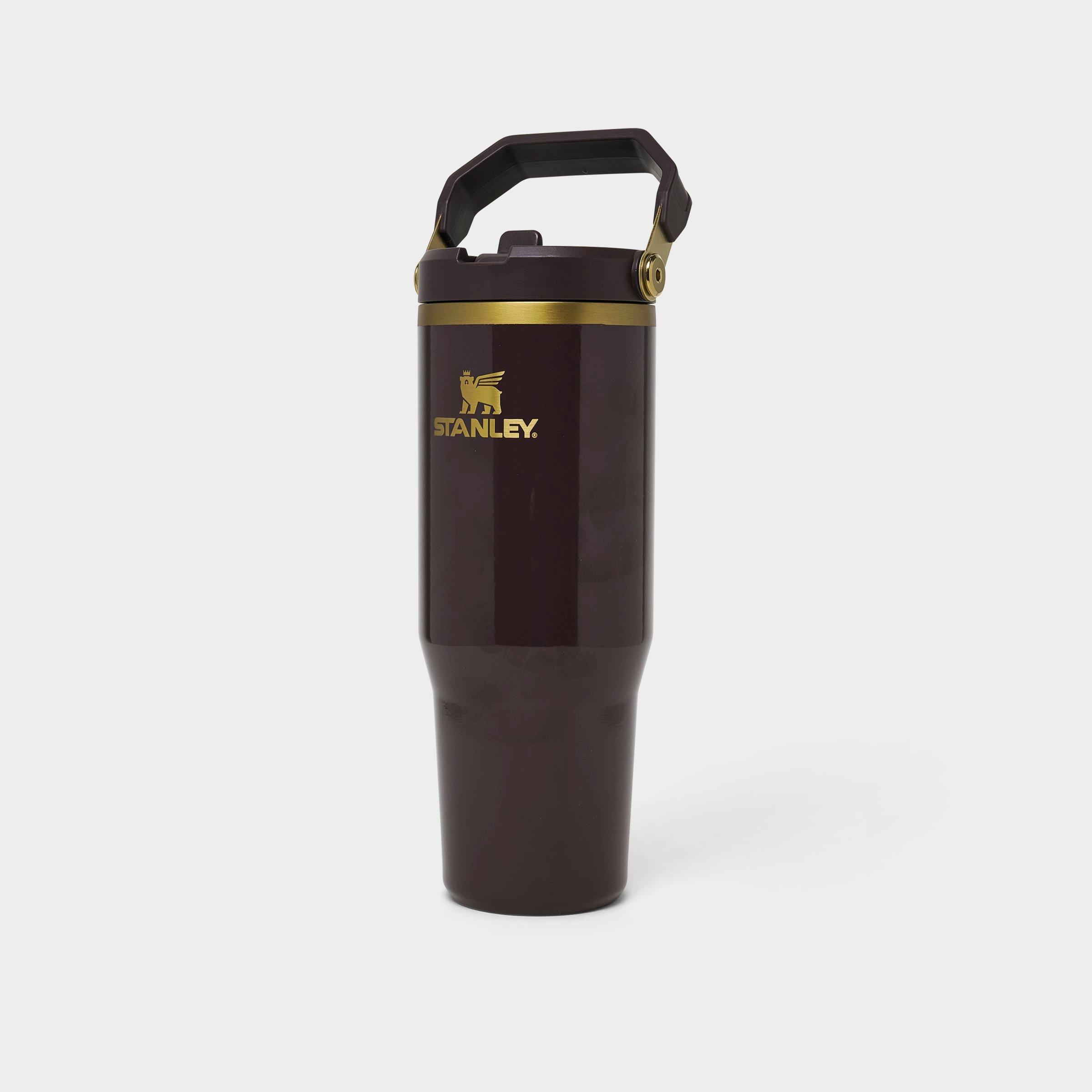 Stanley IceFlow Flip Straw Tumbler (30 oz.) | JD Sports
