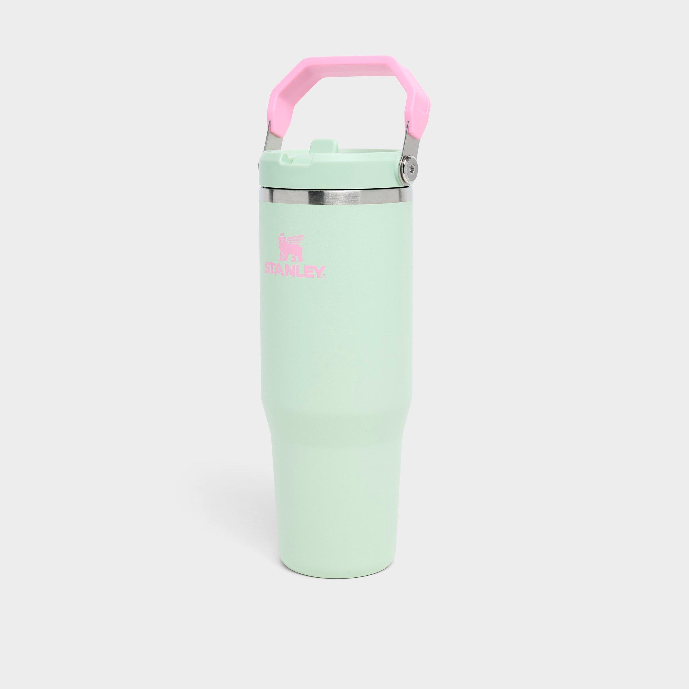 Stanley IceFlow Flip Straw Tumbler (30 oz.) | JD Sports