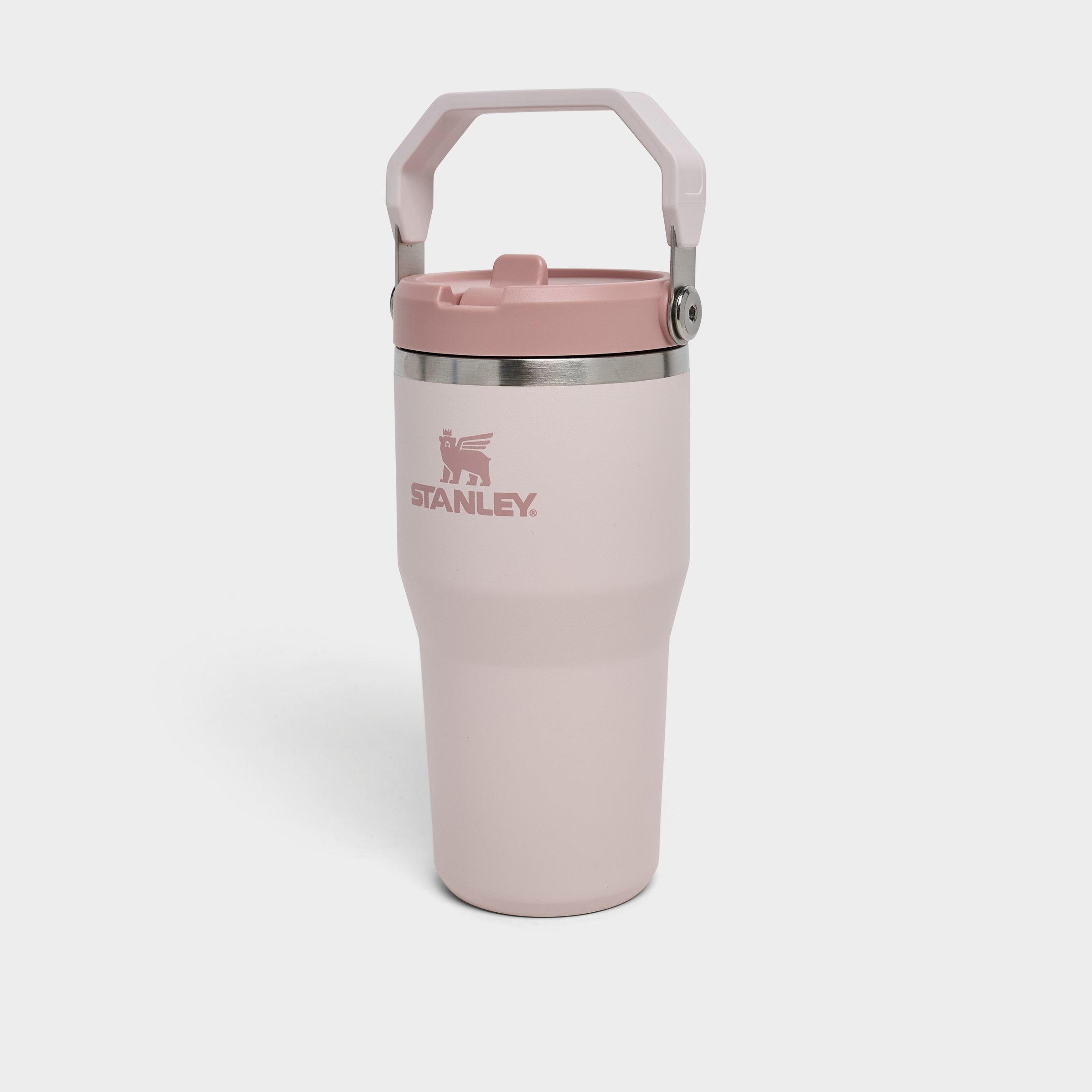 Stanley IceFlow Flip Straw Tumbler (20 oz.)