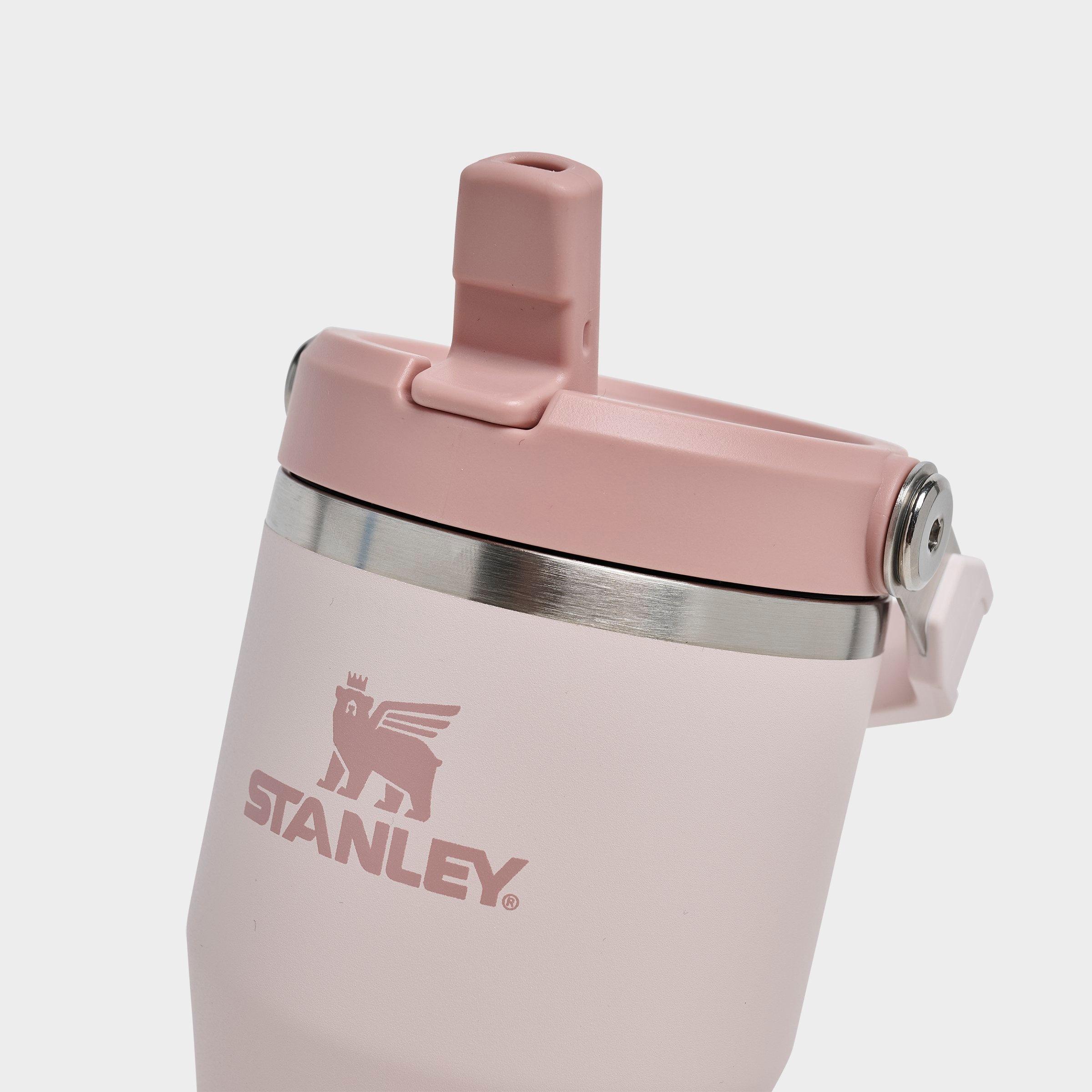 Stanley IceFlow Flip Straw Tumbler (20 oz.)