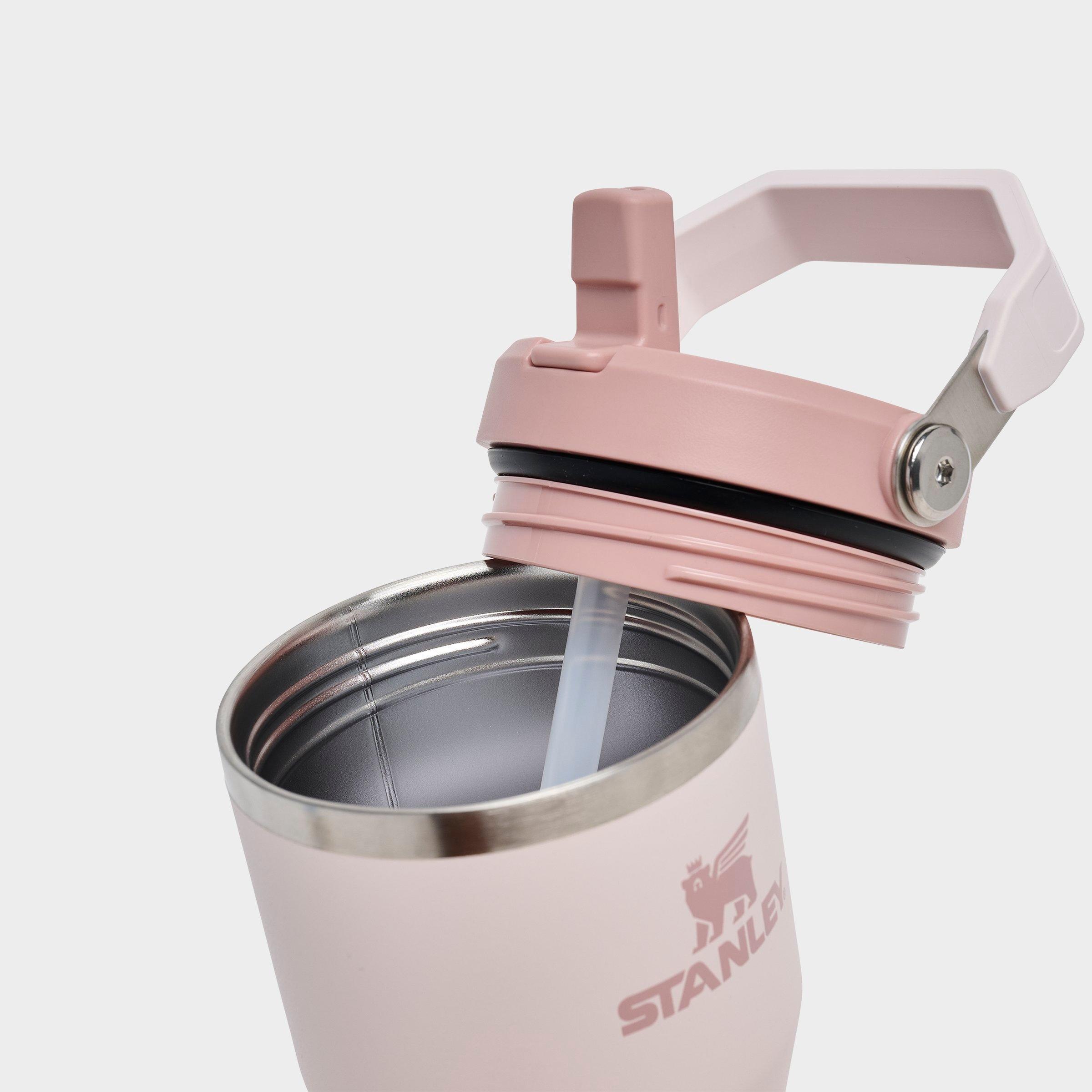 Stanley IceFlow Flip Straw Tumbler (20 oz.)