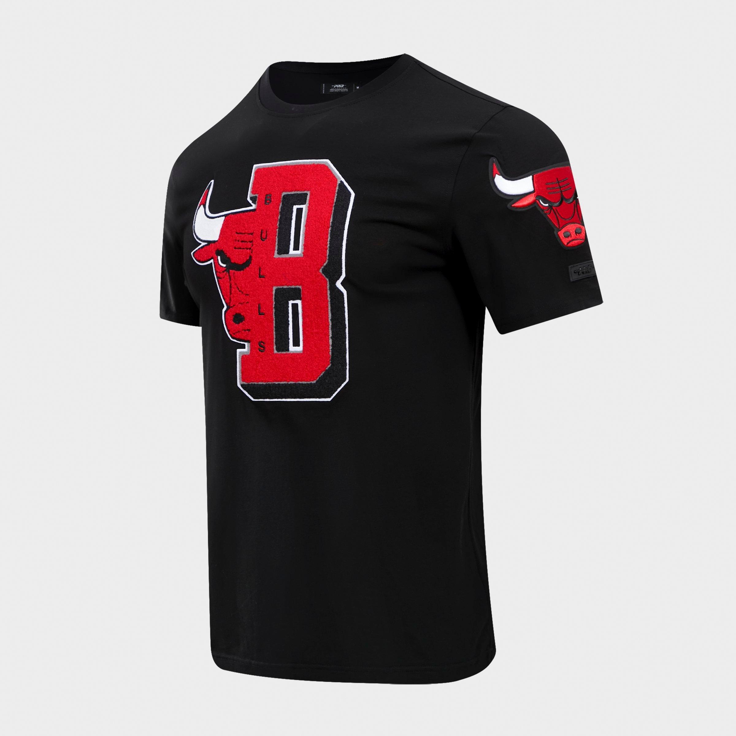 Men's Pro Standard Chicago Bulls NBA Mashup T-Shirt