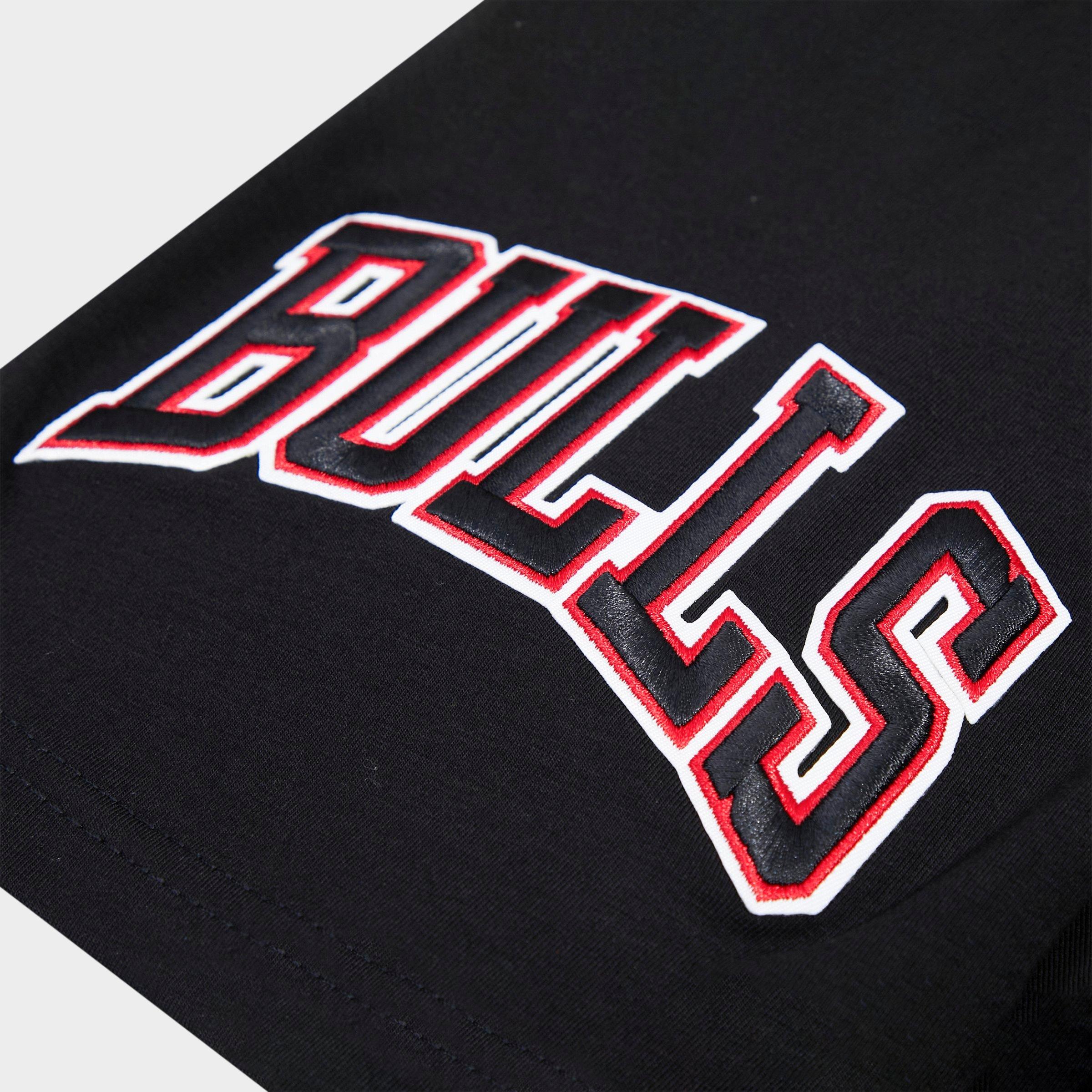 Men's Pro Standard Chicago Bulls NBA Mashup T-Shirt