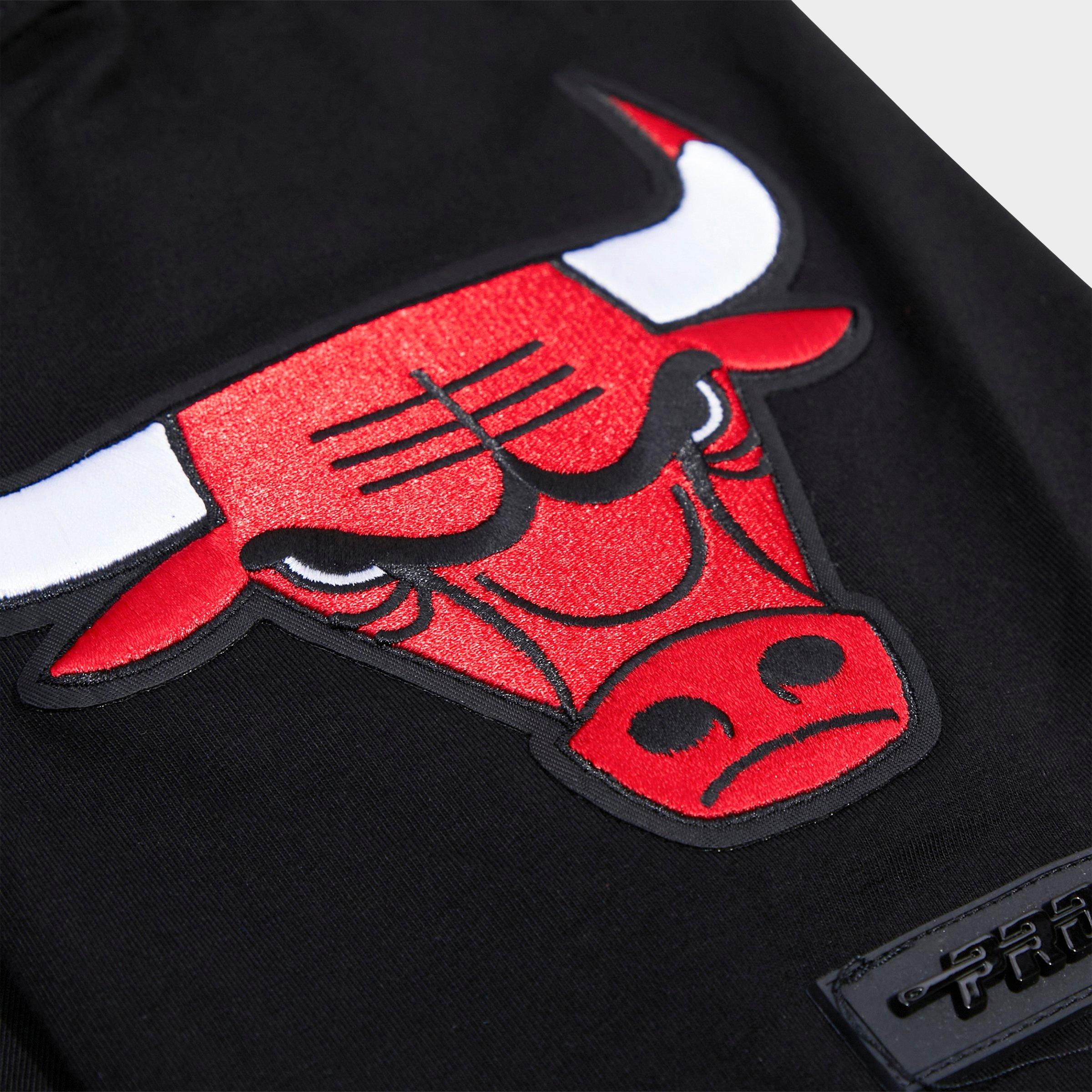 Men's Pro Standard Chicago Bulls NBA Mashup T-Shirt