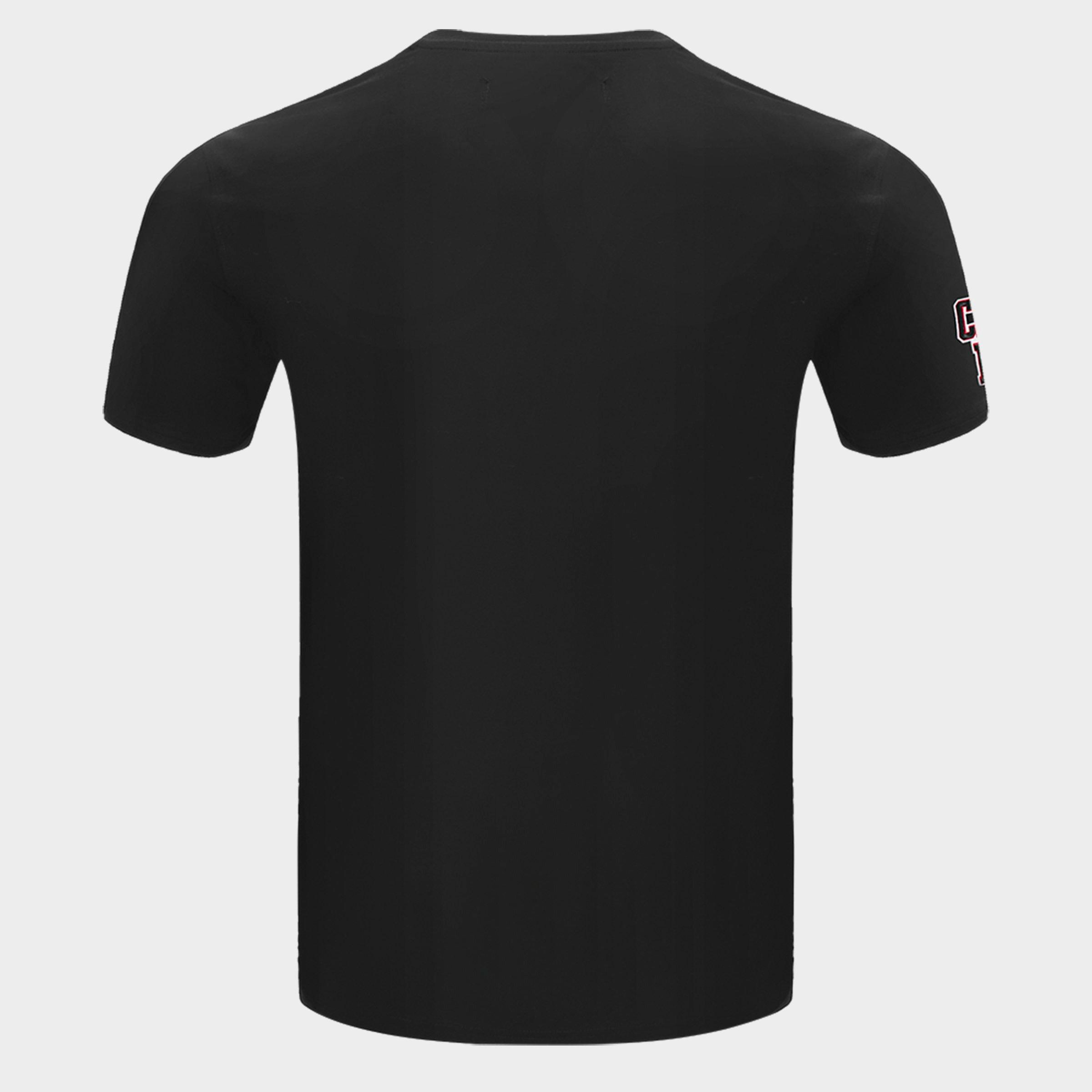 Men's Pro Standard Chicago Bulls NBA Old English T-Shirt