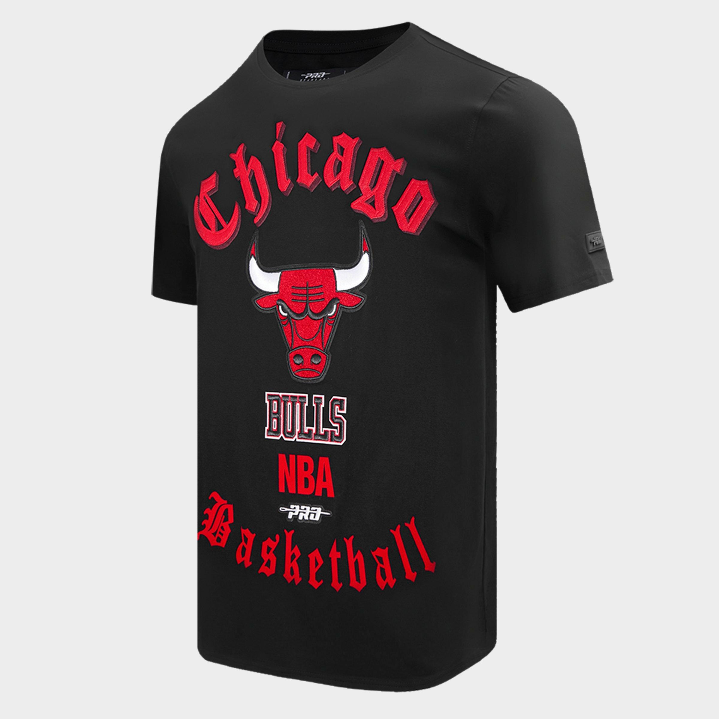 Men's Pro Standard Chicago Bulls NBA Old English T-Shirt
