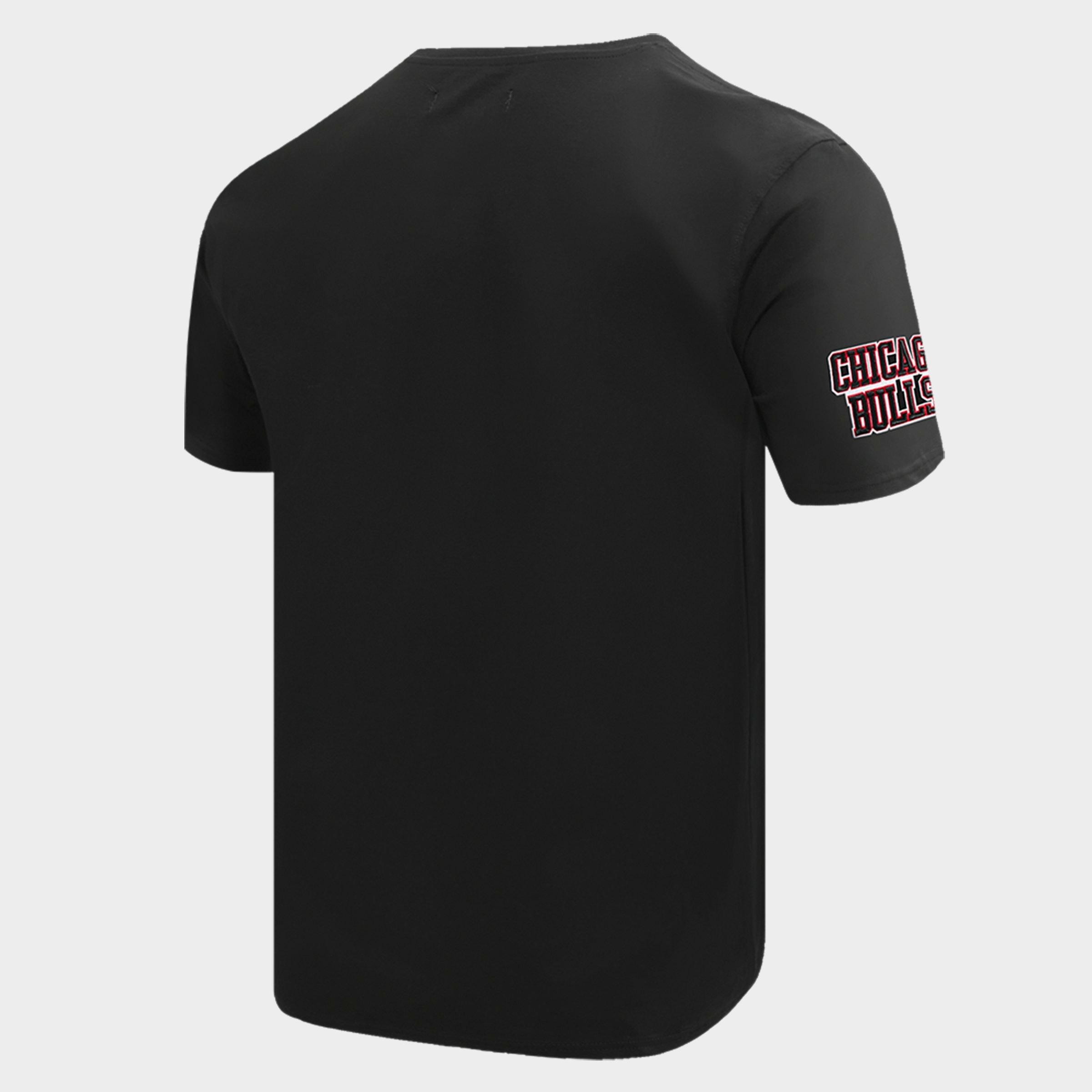 Men's Pro Standard Chicago Bulls NBA Old English T-Shirt
