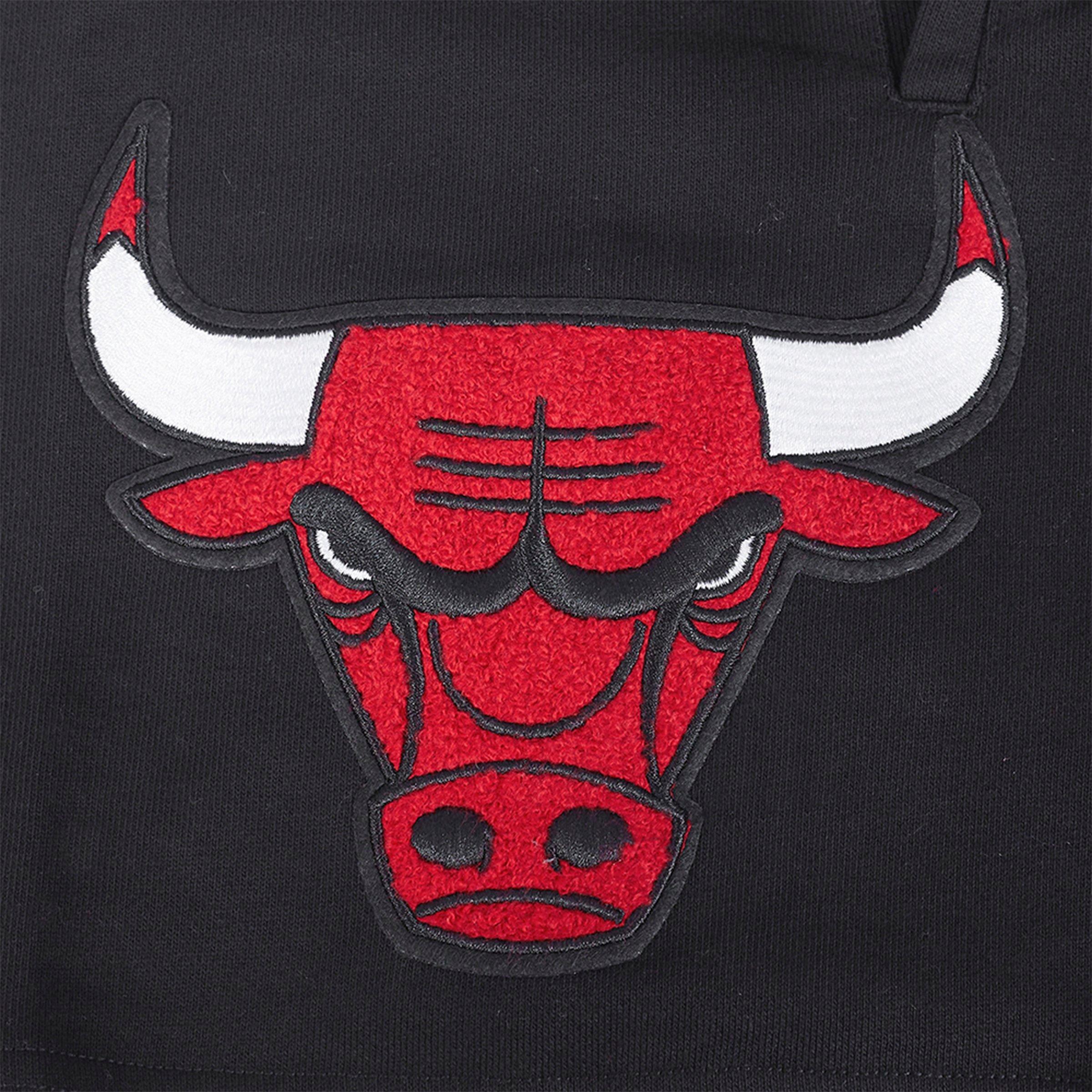 Men's Pro Standard Chicago Bulls NBA Retro Classic Fleece Shorts