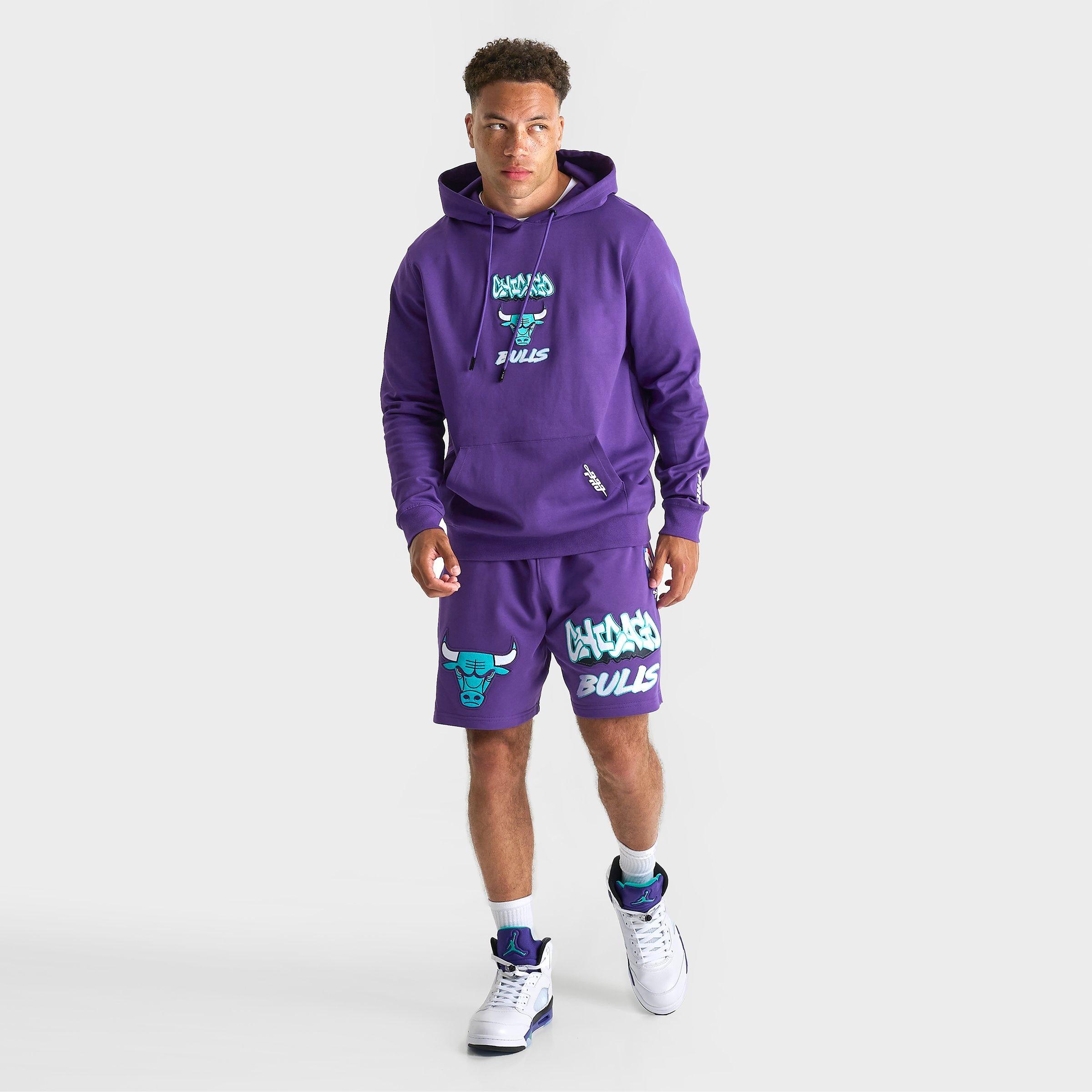 Men's Pro Standard Chicago Bulls Grape Pullover Hoodie