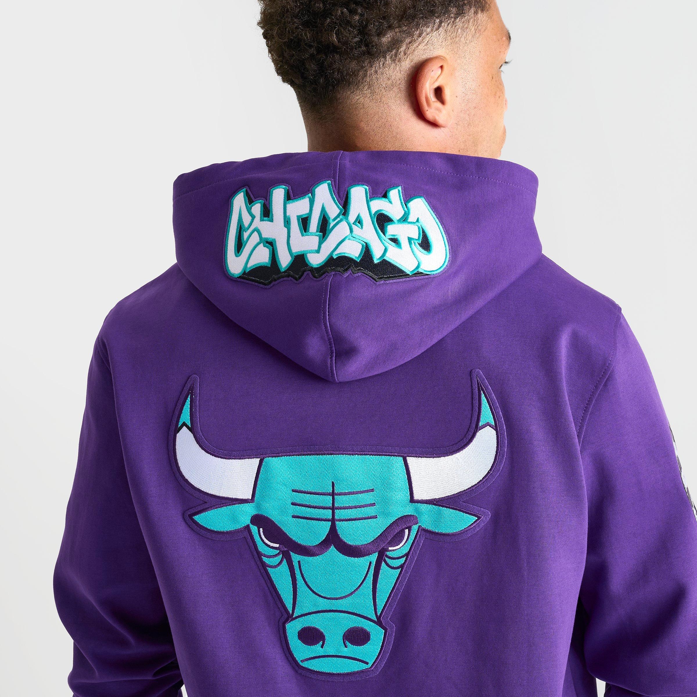 Men's Pro Standard Chicago Bulls Grape Pullover Hoodie