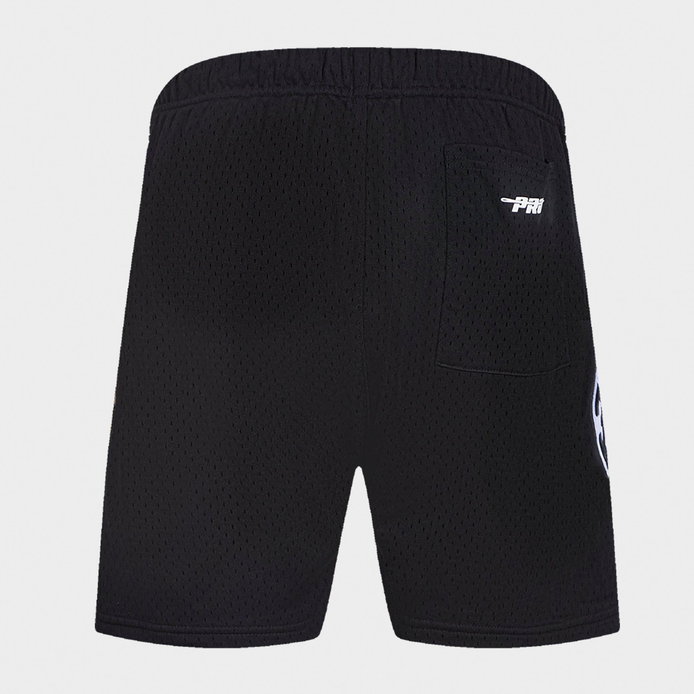 Men's Pro Standard Detroit Pistons NBA Classic Mesh Shorts