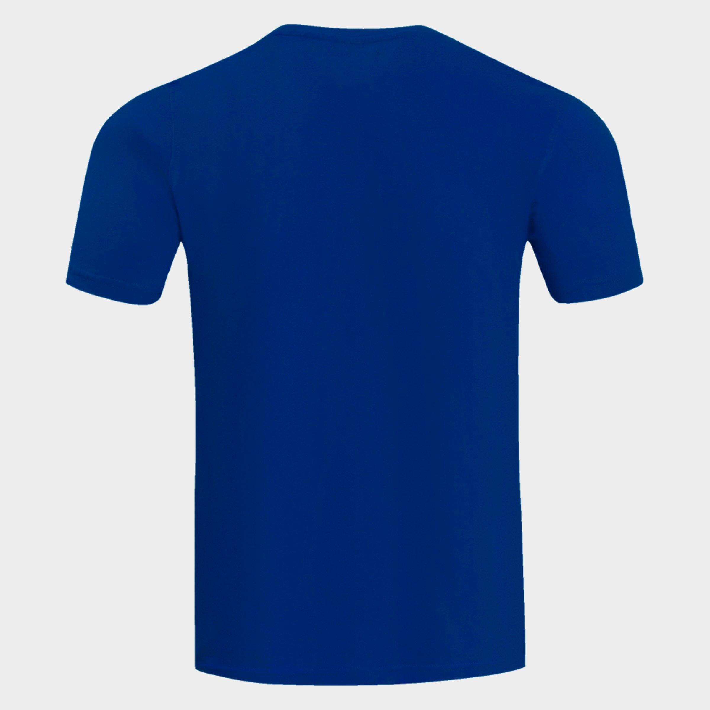 Men's Pro Standard Los Angeles Dodgers MLB Classics Chenille T-Shirt