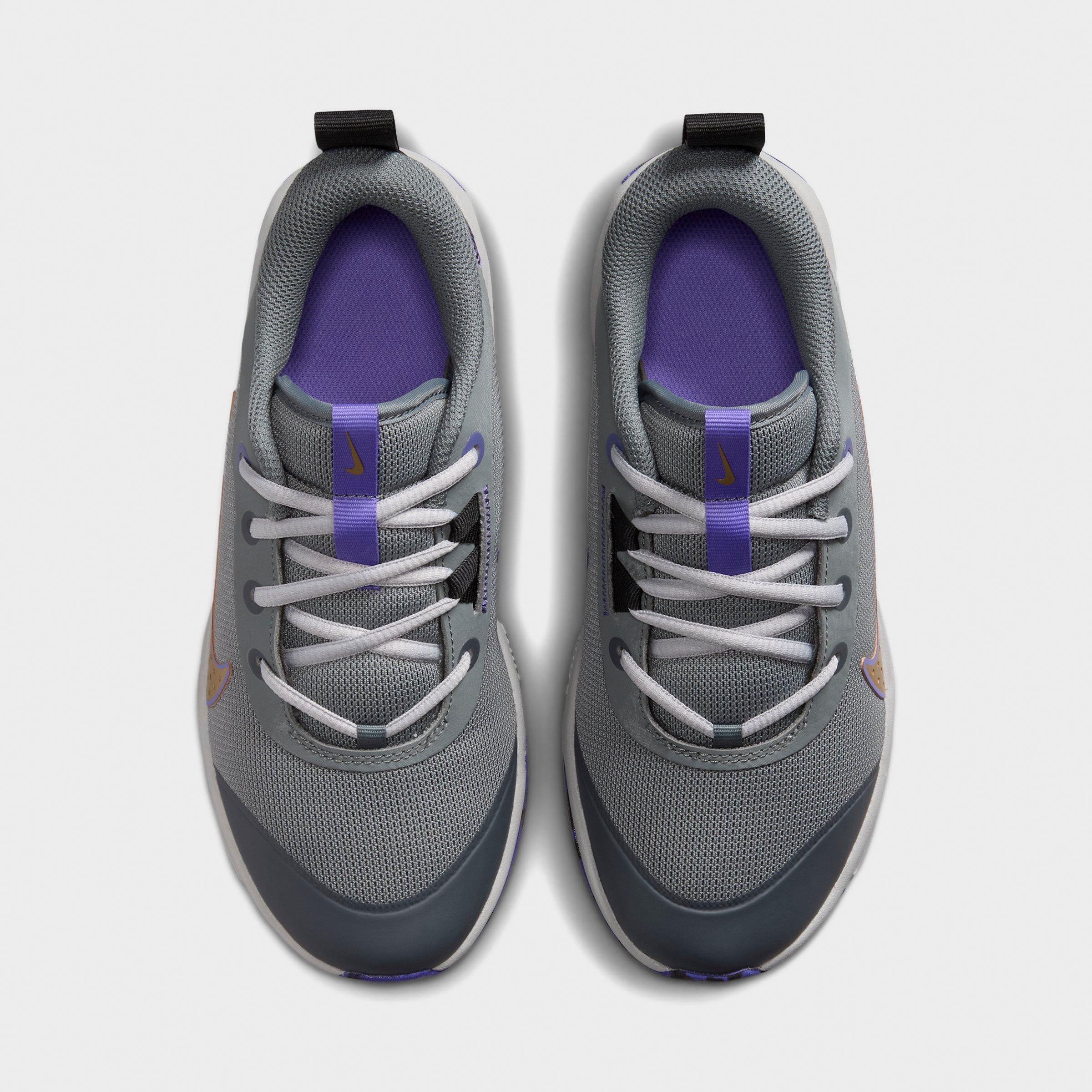 Big Kids' Nike Omni Multi-Court Casual Shoes