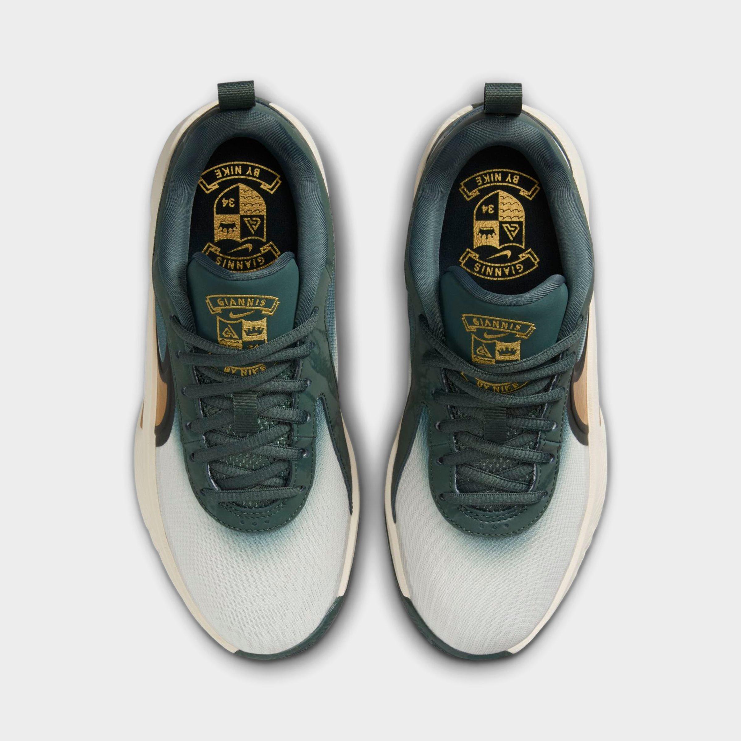 Big Kids' Nike Giannis Freak 6 Basketball Shoes