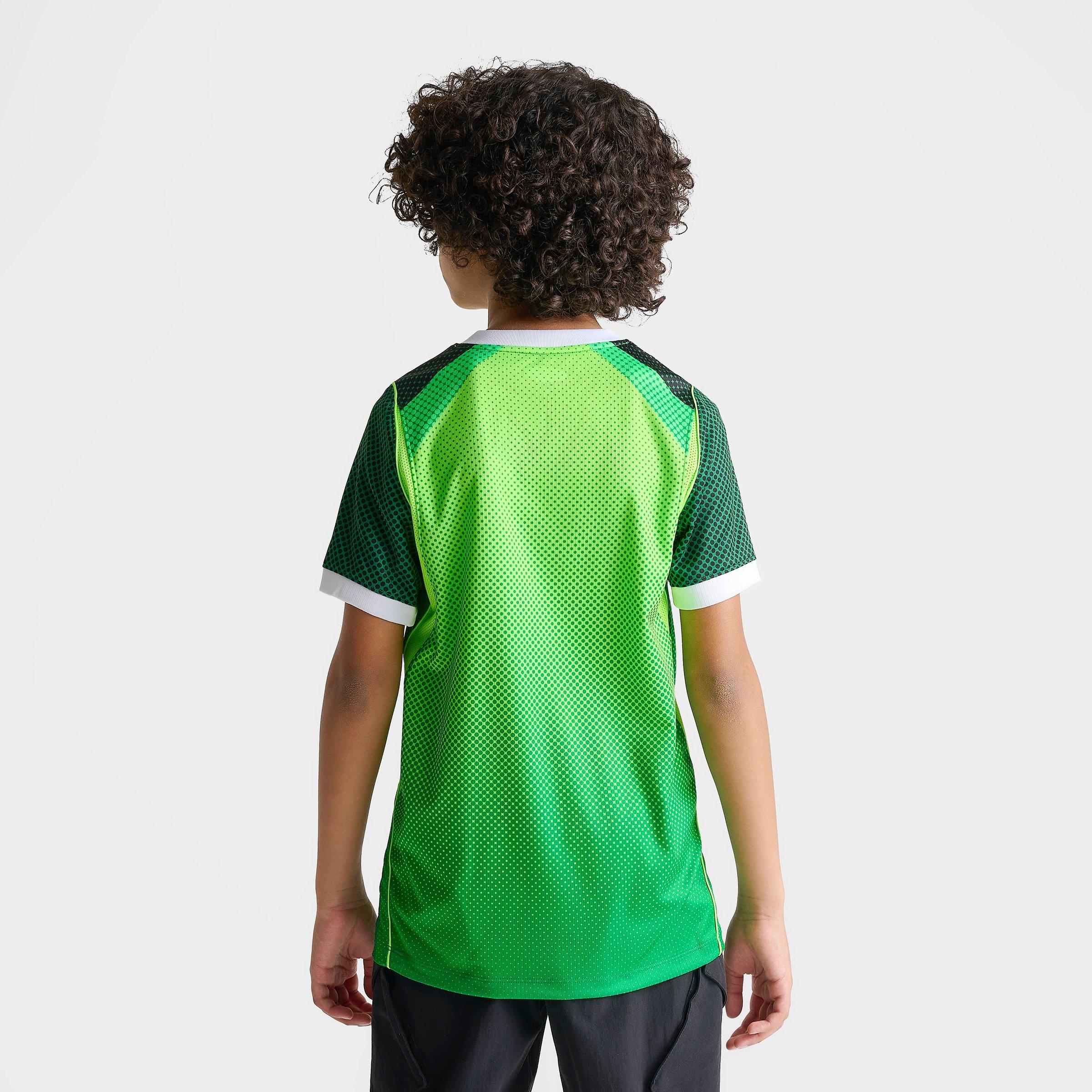 Big Kids' Nike Nigeria 26 Stadium Home Dri-FIT Replica Soccer Jersey