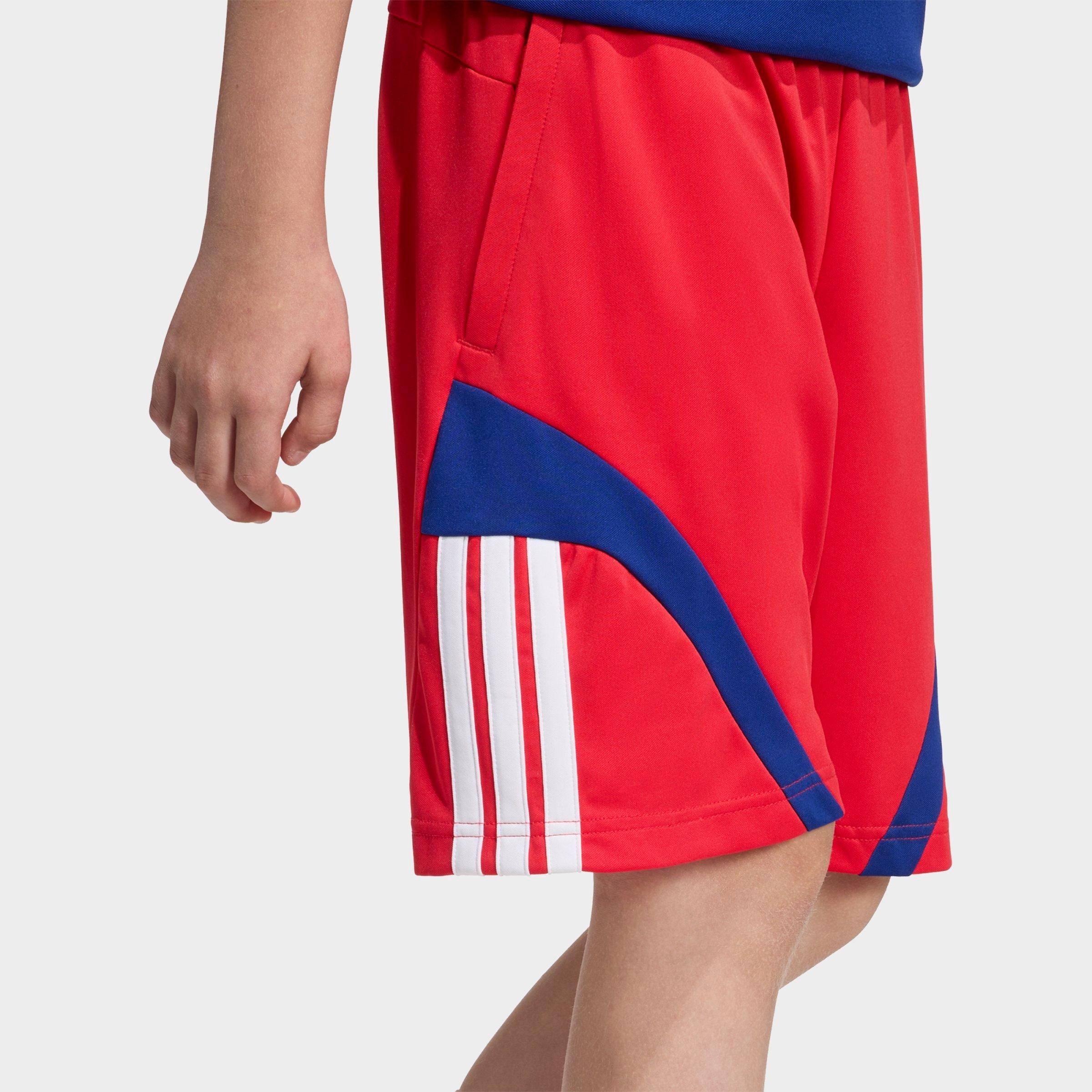 Big Kids' adidas Sportswear House of Tiro Shorts