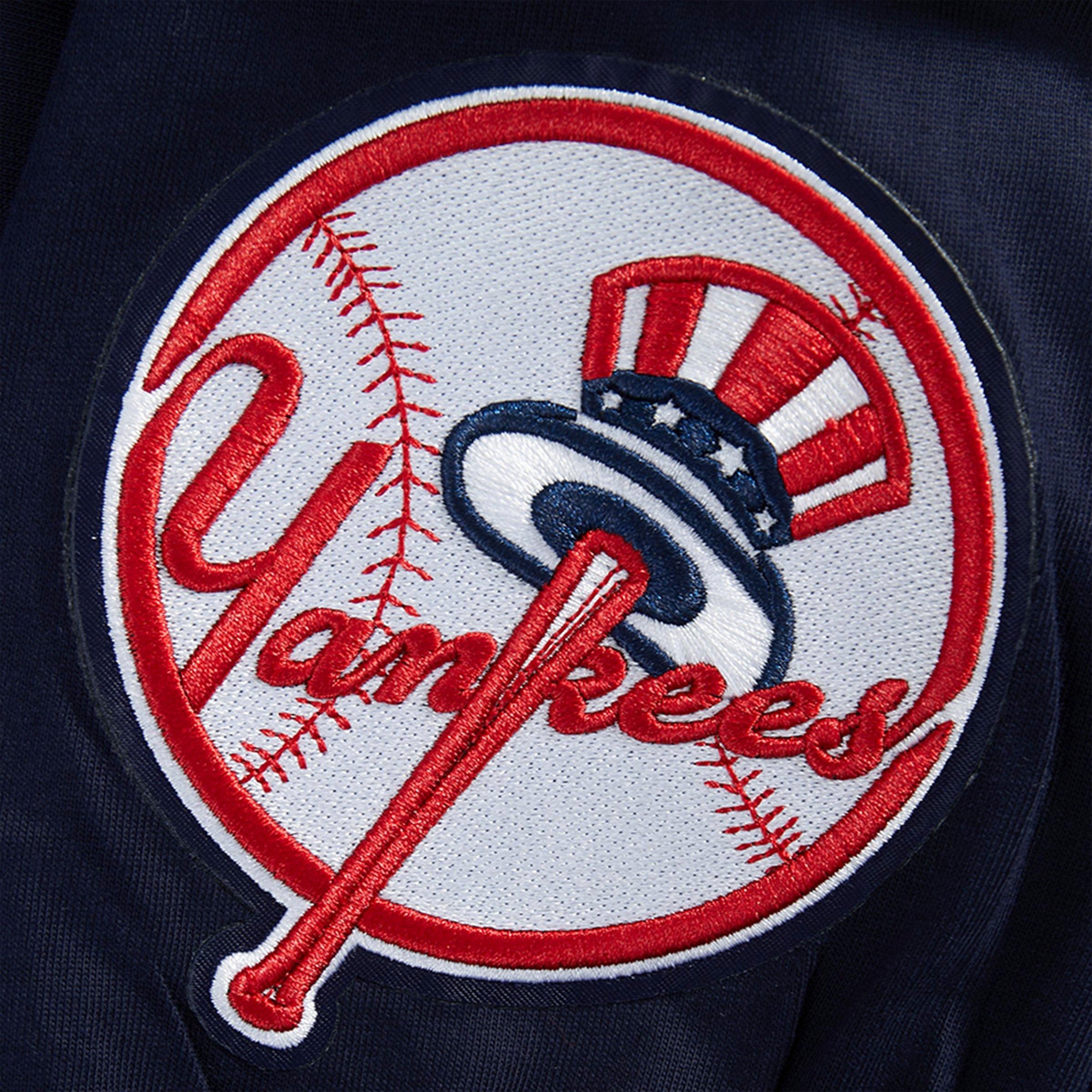 Men's Pro Standard New York Yankees MLB Wingspan Long-Sleeve T-Shirt