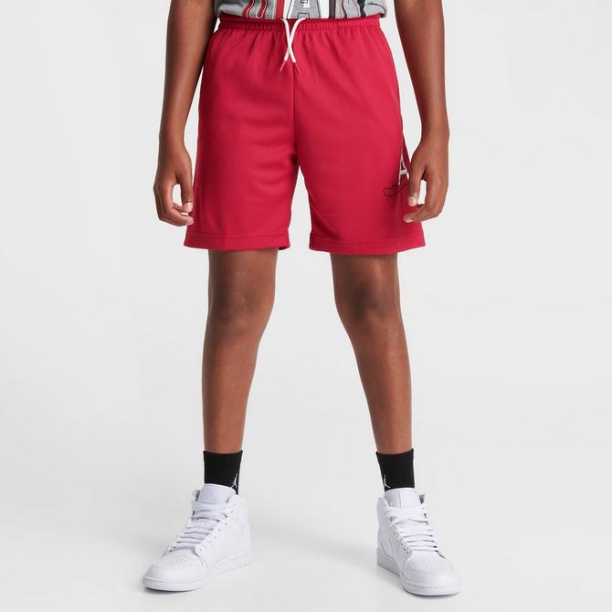 Men's jordan sportswear store jumpman mesh shorts