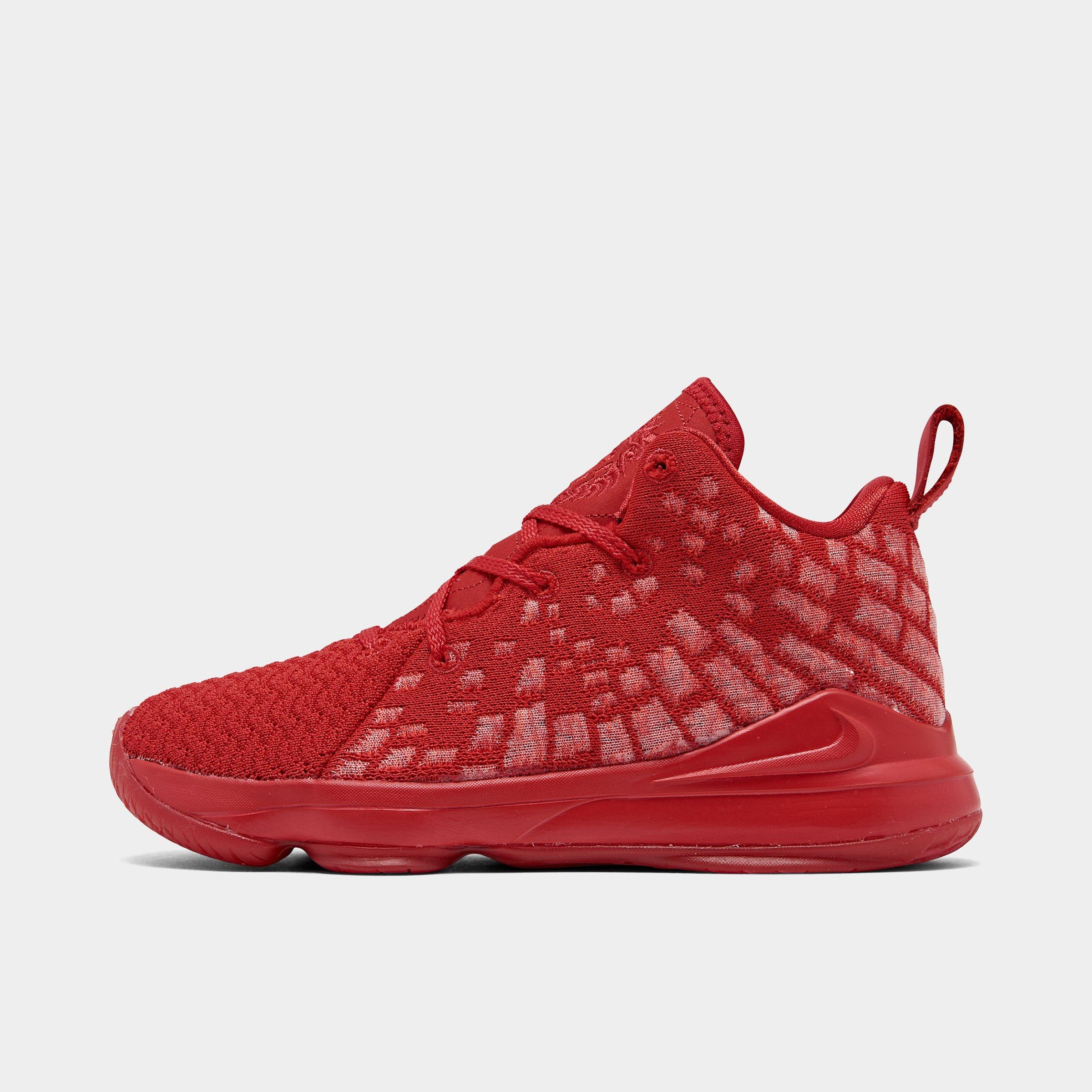 lebron shoes kids