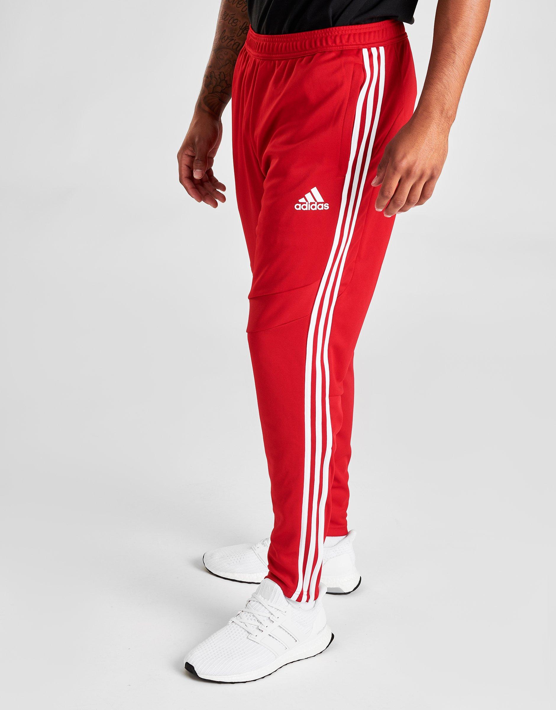 red training pants