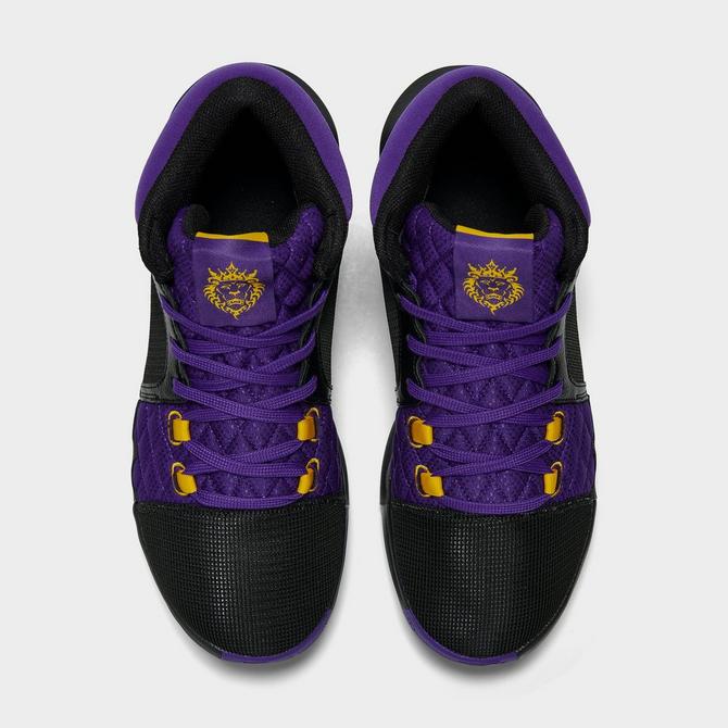 Lebron purple hotsell and gold