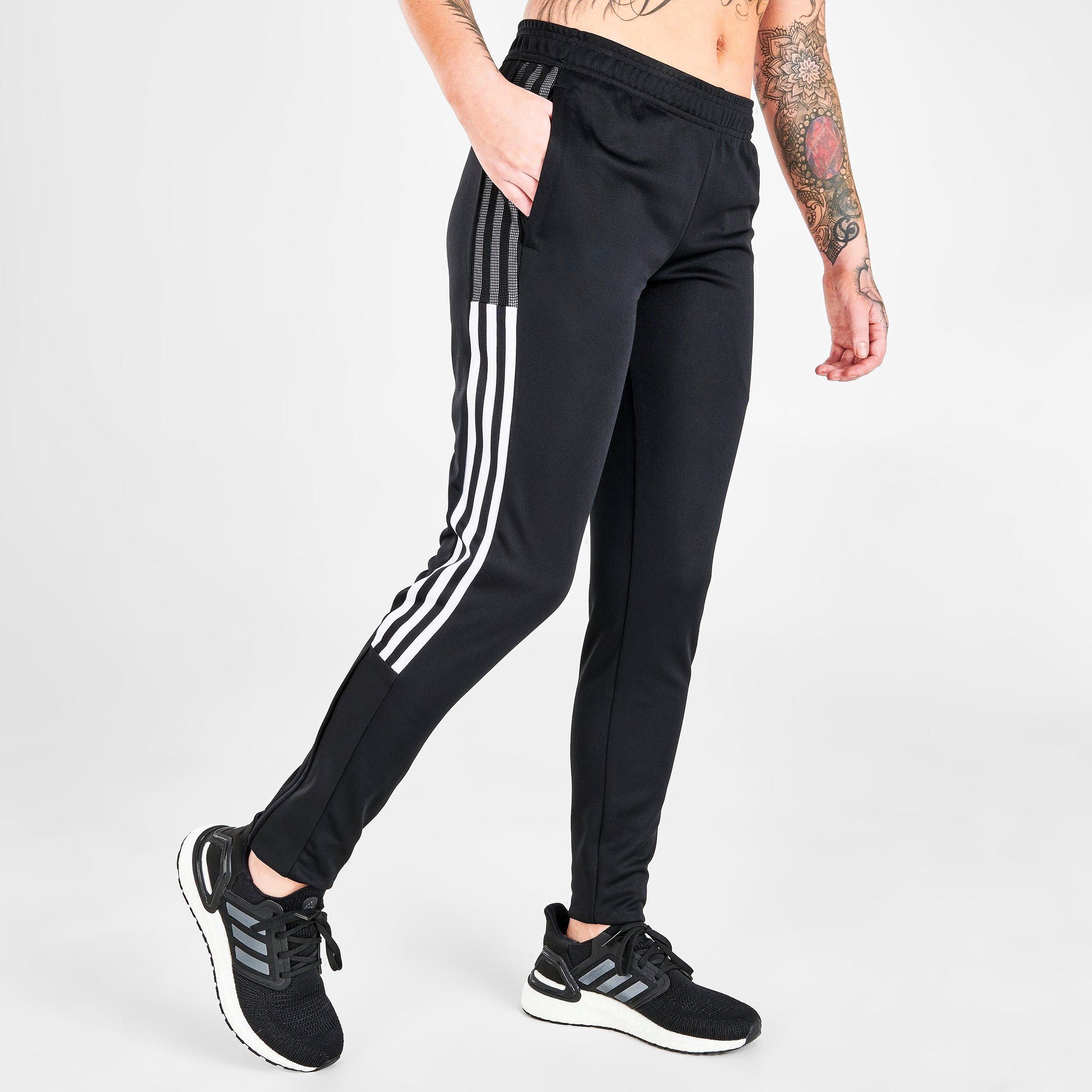 tiro 19 training pants