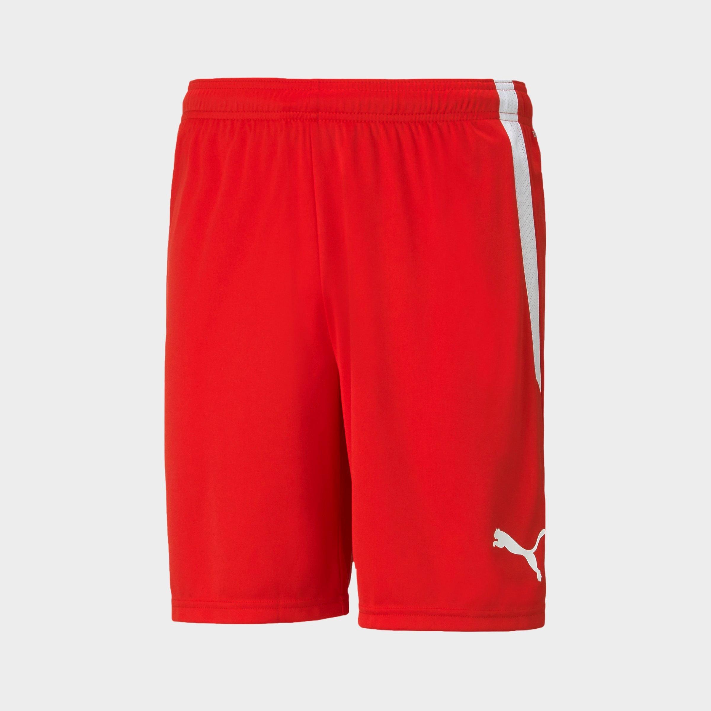 Men's Puma teamLIGA Soccer Shorts