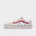 Vans Old Skool Casual Shoes