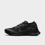 Image of WOMEN'S NIKE PEGASUS TRAIL 3 GTX