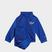 Infant and Kids' Toddler adidas Originals Adicolor Track Suit